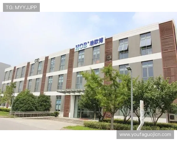 欧博官网登录入口最新版本使用教程，详细介绍登录流程与常见问题解决方案