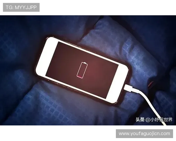 欧博手机网:用户交流社区分享使用体验与技巧